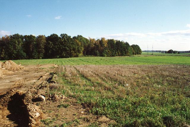 Image03.jpg
