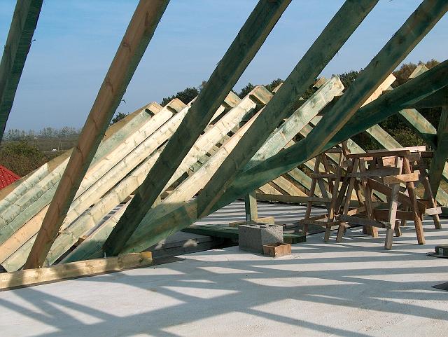 IMAGE36.JPG