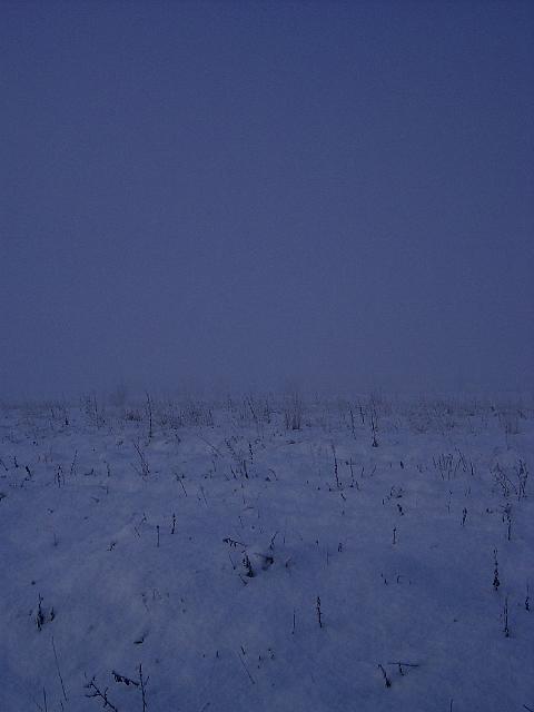 PIC04904.JPG