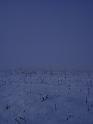 PIC04904