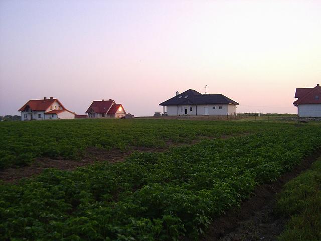 PIC00011.JPG