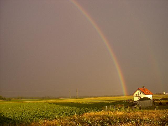 PIC05355.JPG