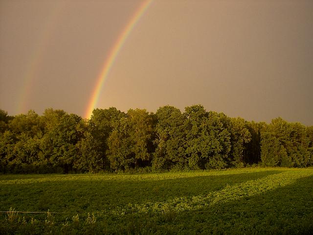 PIC05358.JPG