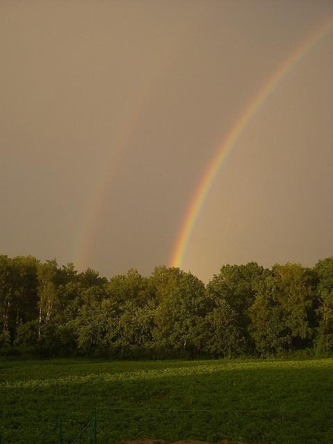 PIC05361.JPG