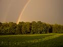 PIC05358
