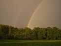 PIC05360