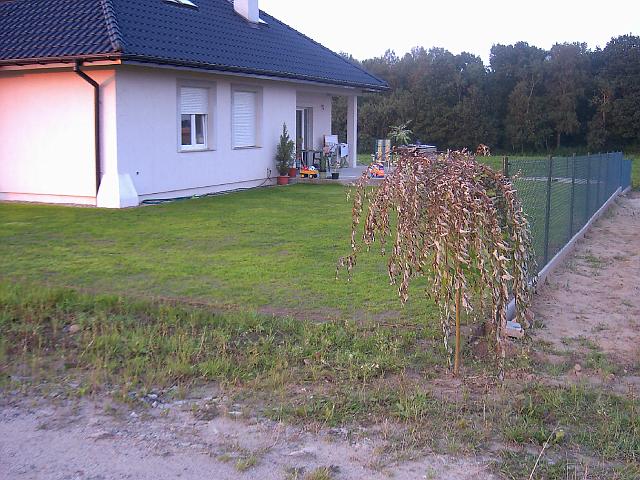 PIC05413.JPG