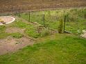 PIC05642